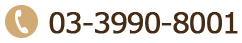 安藤クリニック 電話番号:03-3990-8001